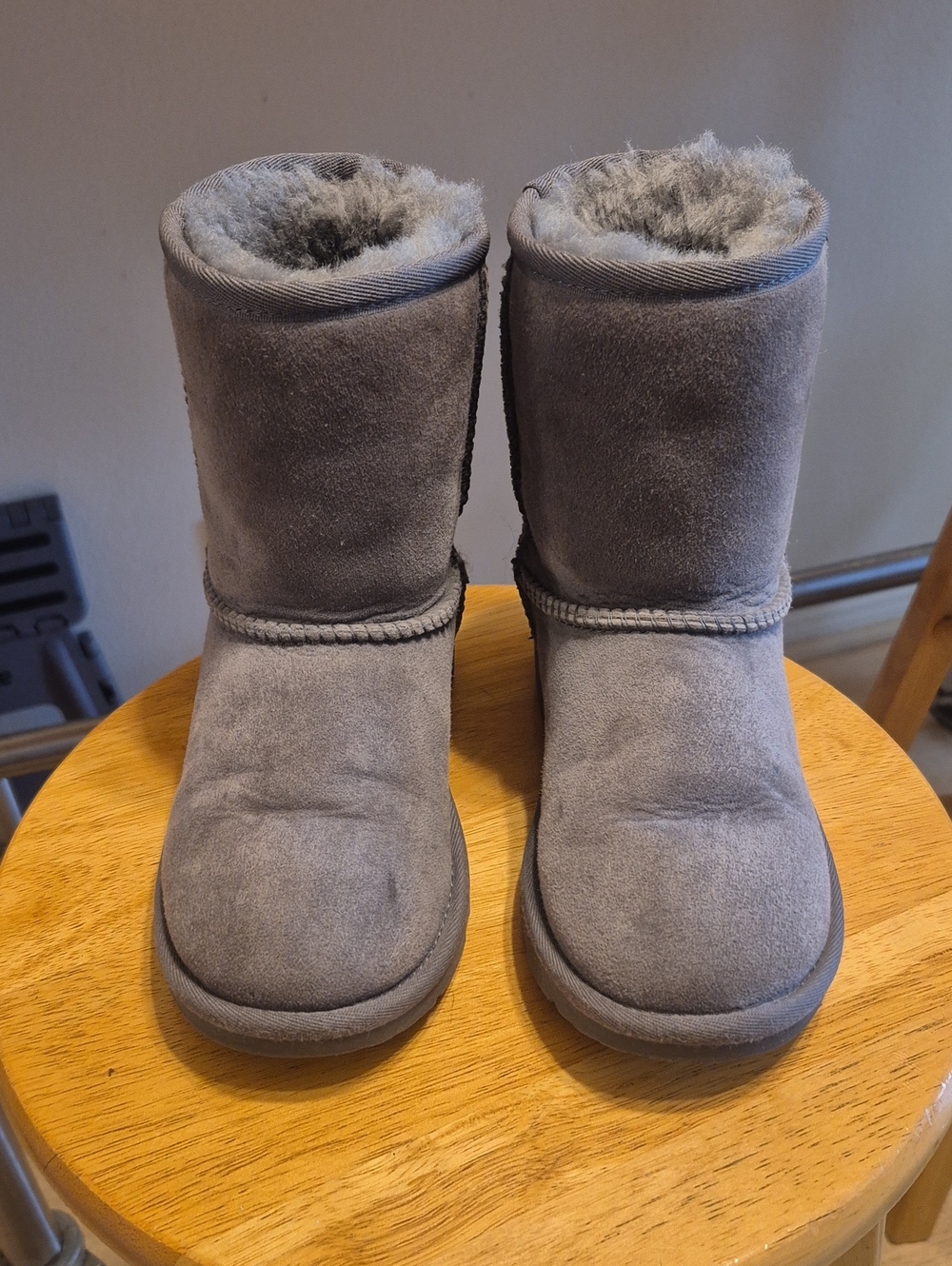 Ugg Gray With Shiny Back Suede Leather Boots